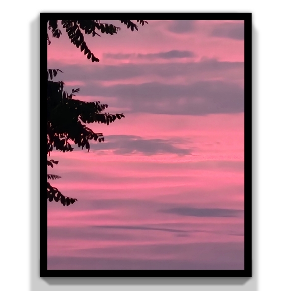 Posh Ambassador II ❤ - Picture 13 of 15